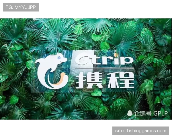 法甲联盟公布上季度财报，转播收入同比增长12%